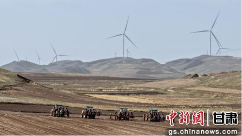 兰州永登 种薯工厂孕育“薯”光，高原种薯辐射全国远销中东