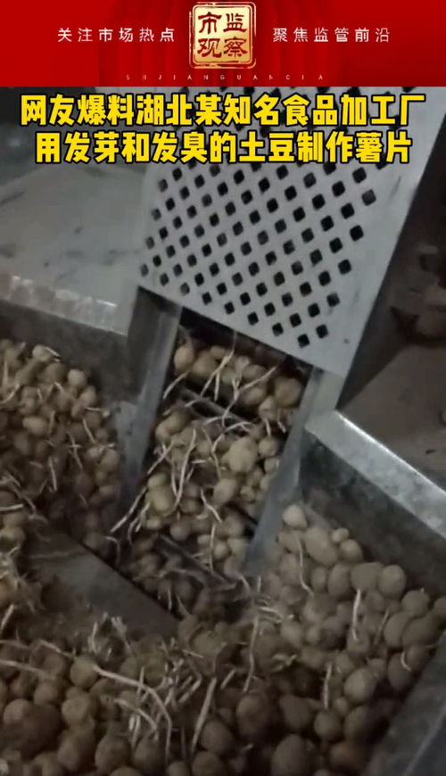 信赖与农田 湖北薯片事件背后薯类种植的双重救赎